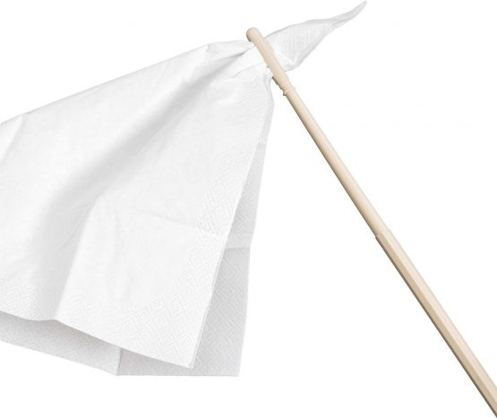 CASCHA recorder cleaning rod made of sturdy plastic - with eyelet for cleaning cloth - ideal for daily cleaning - sturdy flute cleaning rod for soprano recorders - recorder cleaner 28 cm - Image 3