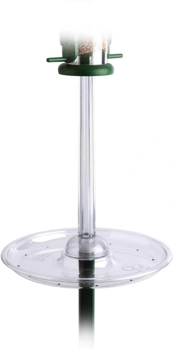 Jacobi Jayne PG-S Pigeon Spacer, Clear - Image 2