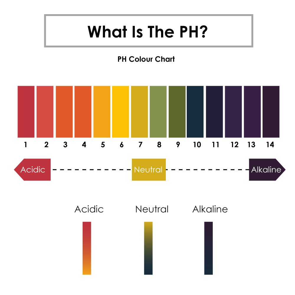 TRIXES Litmus pH 1 to 14 Test Paper Book 80 Strips - Image 4