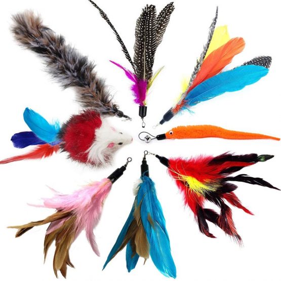 onebarleycorn - Cat Feather Toy, Cat Teaser Wand Interactive Cat Toys Feather Da Bird Cat Retractable Fishing Rod Toy Set (1 Wands & 8 Refills Feathers) - Image 4