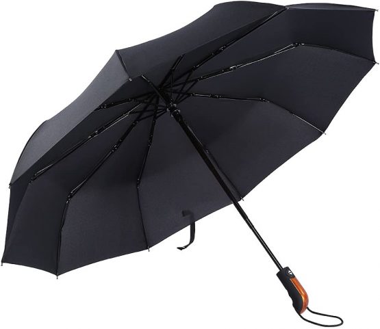 Windproof Travel Umbrella 10 Ribs Unbreakable Auto Open Close Waterproof Rustproof Canopy Automatic Folding Compact Portable Umbrellas for Men and Women