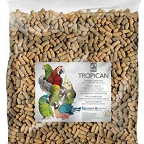 Hari Tropican Parrot Lifetime Stick, 9.07 kg