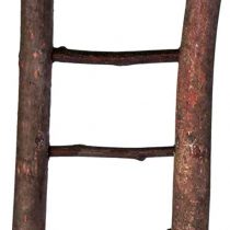 Trixie Natural Living Wooden Ladder with 7 Rungs, 30 cm,