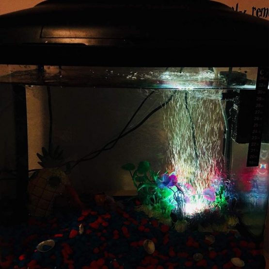 Supmaker Aquarium Air Stone Fish Tank Led Air Stone Bubble Light with 6 Color Changing LEDs for Aquarium - Image 2