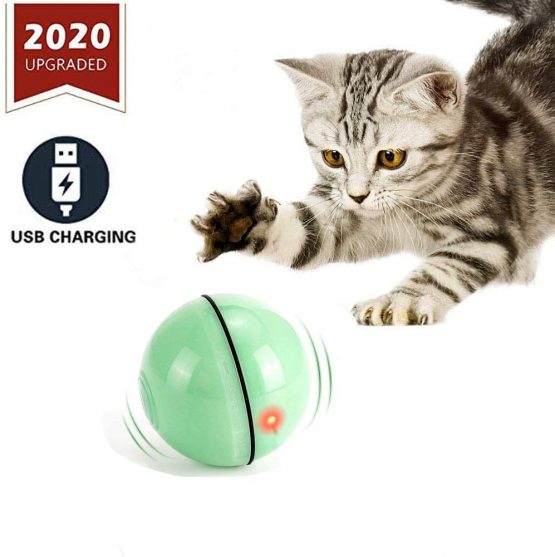 disco ball cat toy