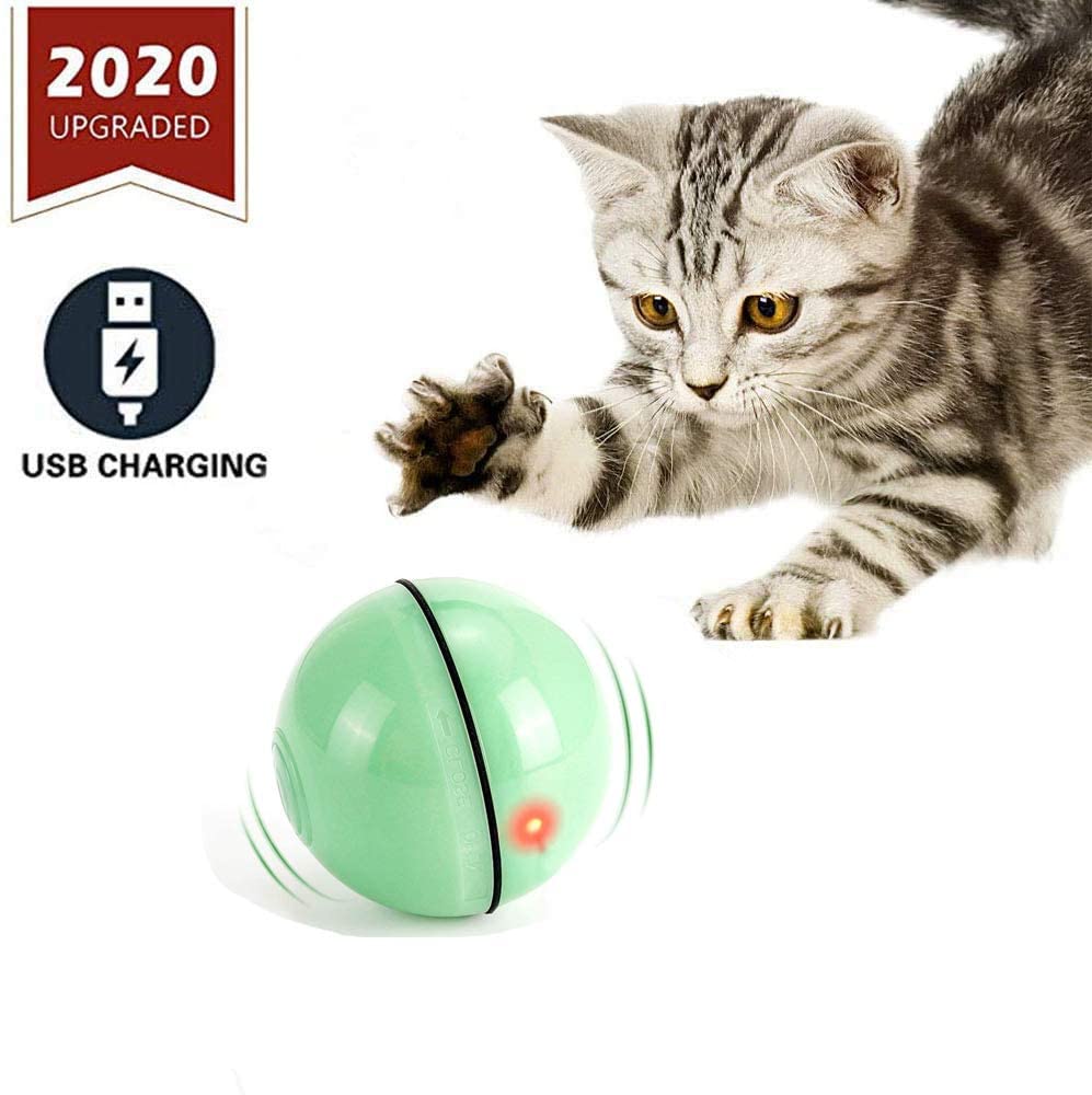 interactive cat toys with timers