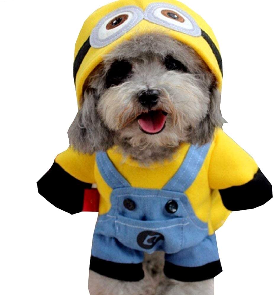 KIRALOVE Costume – despicable me – cartoons – dog – l – disguises ...