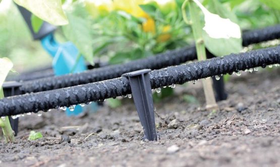 GARDENIX® Pack of 100 AquaPEG Ground Securing Pegs for Drip Irrigation Line Weeping Pipe Soaker Hose - Image 2