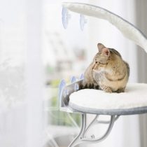 K&H Universal Mount Kitty Sill with Hood, Grey