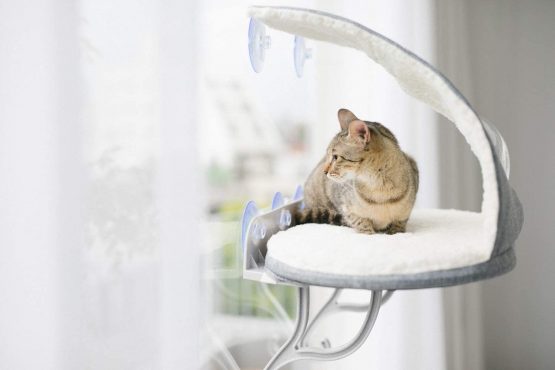 K&H Universal Mount Kitty Sill with Hood, Grey