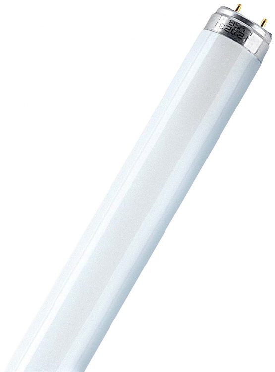 Osram 0140-015840o#1 15w T8 Triphosphor Fluorescent tube Cool White (4000k) Lamps