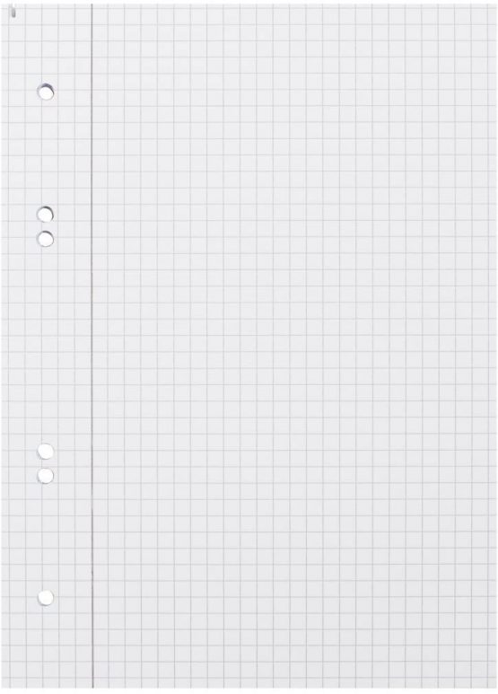 Landré collegeblock Notebook-a5 Recycled Pad 100050114 Punched 80 Sheets a4 Squared and margées 70 g/m ² (Pack of 5) - Image 2