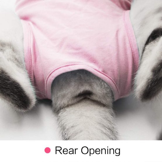 Cat Professional Recovery Suit for Abdominal Wounds or Skin Diseases, E-Collar Alternative for Cats and Dogs, After Surgery Wear, Home Clothing (M, Pink) - Image 3
