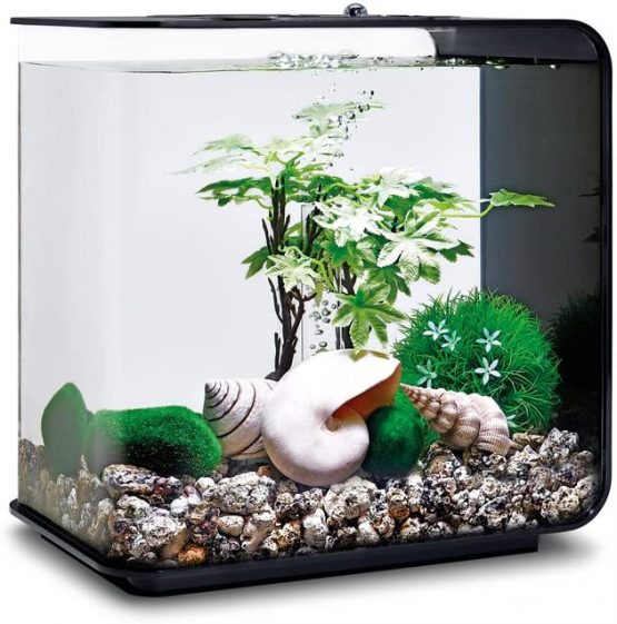 biOrb Decor Set 15L Summer - Image 3