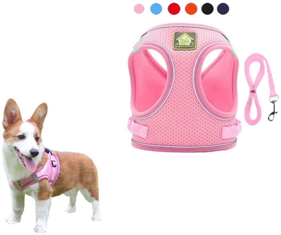 FEimaX Dog Harness and Leash Set for Small Medium Dog Cat No Pull Adjustable Soft Mesh Chihuahua Chest Harness Puppy Reflective Step-in Safety Vest for Outdoor Walking