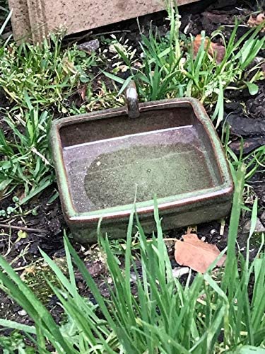 Wildlife World Hedgehog Water Bowl, Green - Image 2