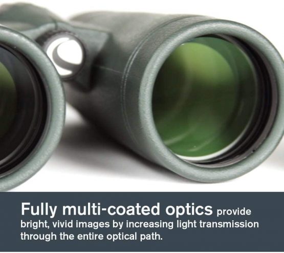 Celestron 71404 TrailSeeker 8x42 BaK-4 Prism Binoculars, Black - Image 2