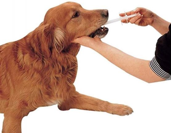 SCSpecial Pet Piller 2 Pieces Plastic Pet Pill Poppers Handy Durable Pet Pill Dispenser Medical Tablets Feeding Tool for Dogs and Large Cats - Image 4