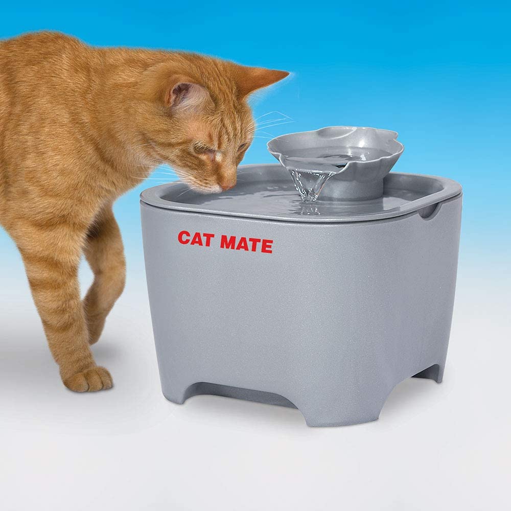 Cat Mate Shell Pet Water Fountain 3L (Titanium) BigaMart