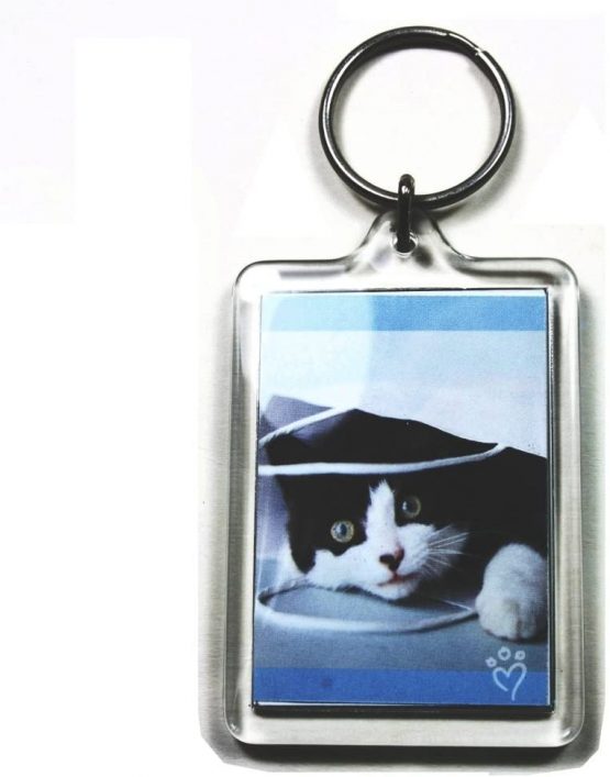 50 Large Blank Photo Keyrings 50 x 35 mm Insert 92033