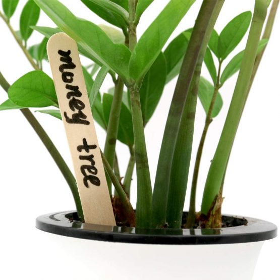 KINGLAKE 100 Pcs Wooden Plant Labels, 15x1.6cm Natural Wood Sticks Jumbo Wooden Garden Markers Tags - Image 4