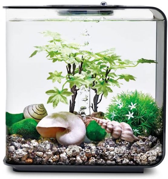 biOrb Decor Set 15L Summer - Image 2