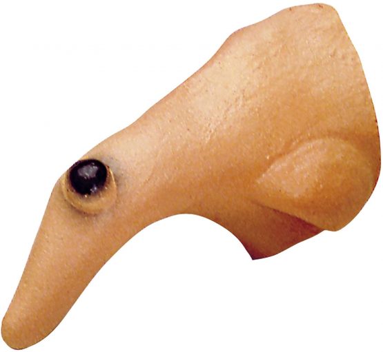 Ladies Witch Nose Accessory for Halloween Fancy Dress