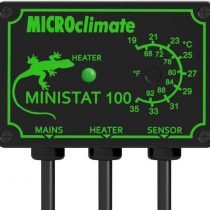 Microclimate Ministat 100 Reptile Thermostat