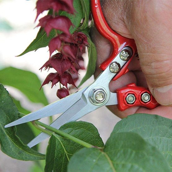 Darlac DP842 Ergo Snips - Image 2