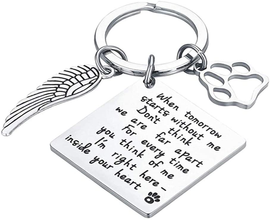 Dabihu Loss of Pet Keychain Pet Memorial Keychain Keyring Pet Family Dog Family Cat Family Pet Keychain Key Ring Pet Sympathy Gift for Pet Lover Dog Cat Keychain