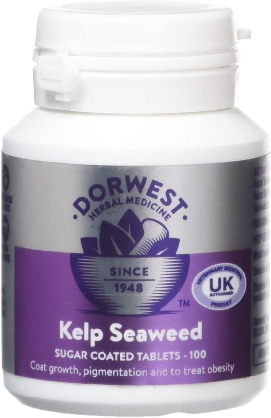 Dorwest Herbs Kelp Seaweed Tablets for Dogs and Cats 100 Tablets