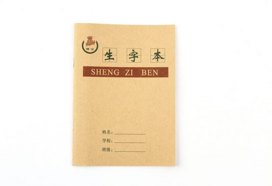Chinese Character Practice Book - Sheng Zi Ben - Pack with 12 Practice Books - Image 4