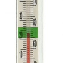(A1201) 4 inch Glass Thermometer, Transparent, Pack Of 1