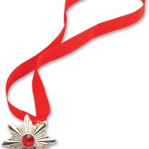 Bristol Novelty BA230 Dracula Medallion, Mens, Red, One Size