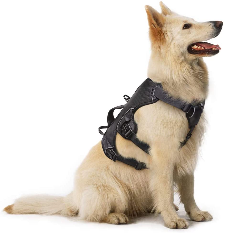 Escape Proof Dog Dog Hiking Harness With Handle Rabbitgoo