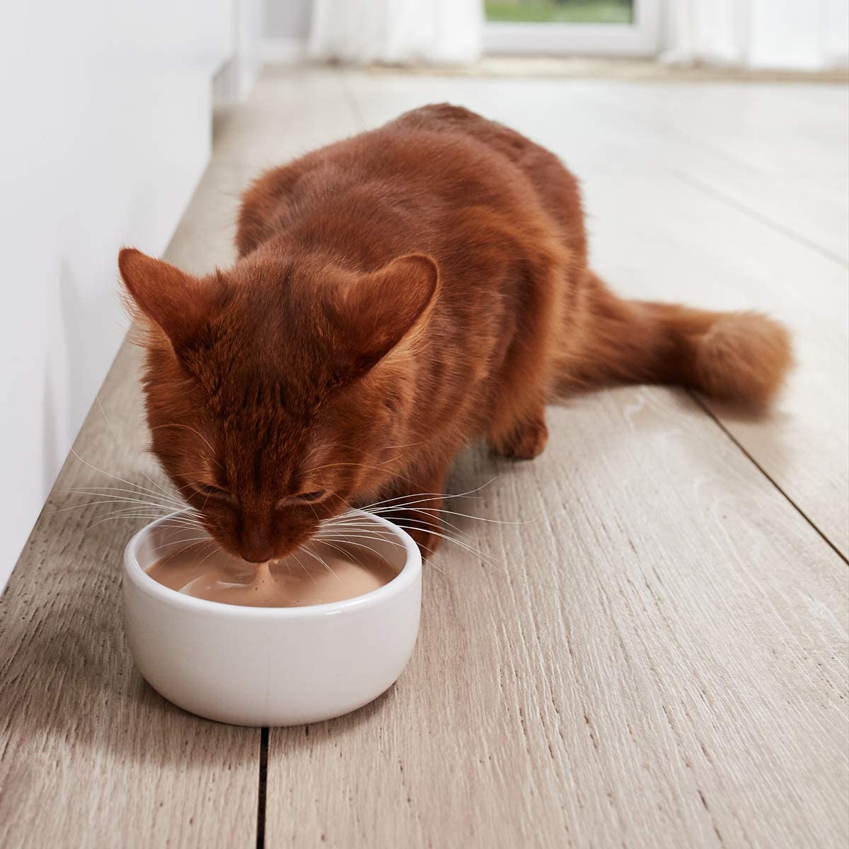 GimCat Milk - Cat milk made from real, lactose-reduced whole milk with calcium for healthy bones - 1 bag (1 x 200 g) - Image 3
