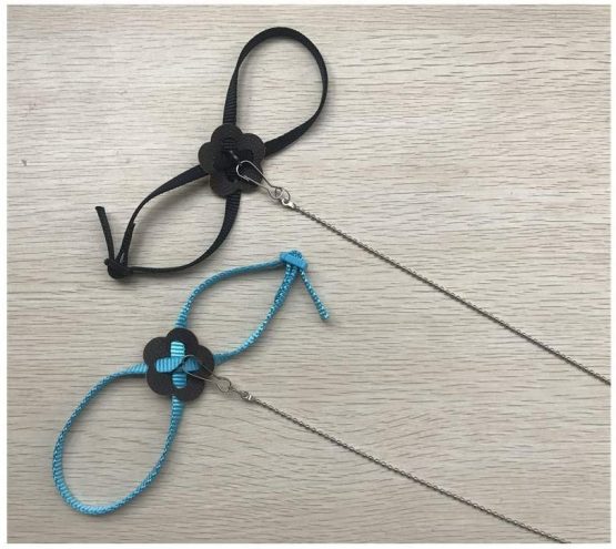 Yih Vane 2Pcs Bird Leashes Adjustable Harness Leash for Parrot Turtle Reptile Lizard - Image 4