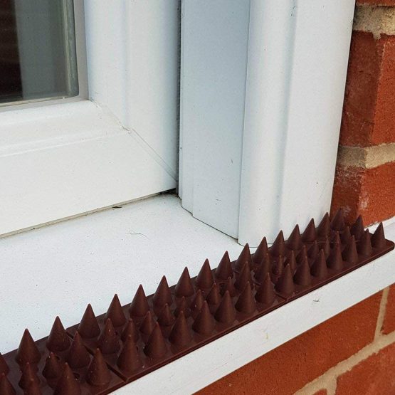 GEEZY 10 Piece Anti Climb Fence Wall Spikes Burglars Cats Birds Repellent Deterrent, 5 Meters - Image 2