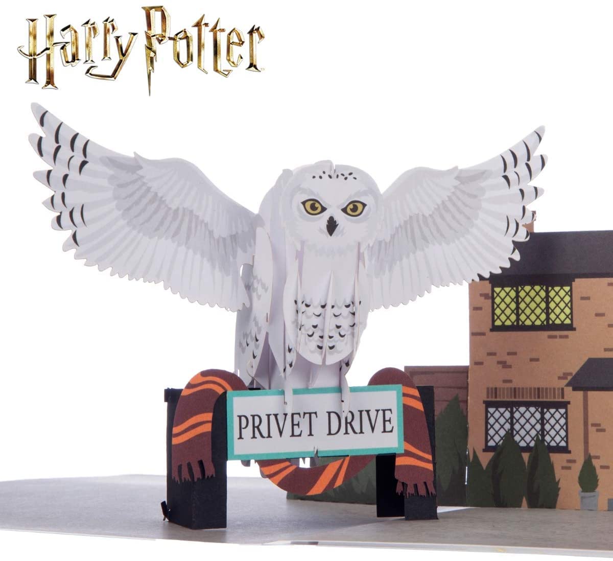 Cardology - Harry Potter Hedwig Pop-Up Card, 15cm x 20cm