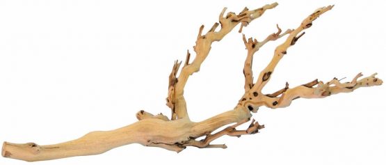 Exo Terra Forest Branch, Medium (Exact Size May Vary)