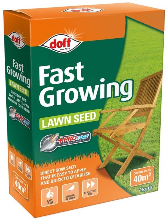 Doff Fast Acting Lawn Seed Fast Germination Rate for Spring and Summer Seeding, 1 x Doff Fast Acting Lawn Seed 250g, 500g, 1kg by Thompson and Morgan (1kg)