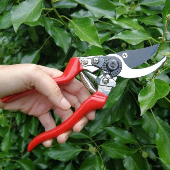 Burgon & Ball Left-Handed Bypass Secateurs - RHS Endorsed - Image 2