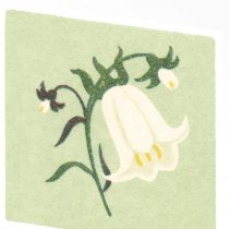 ArtPress Vintage Matchbox Whitebell Sympathy Greeting Card (15 x 15 cm)