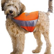 Croci High Visibility Jacket, X-Large