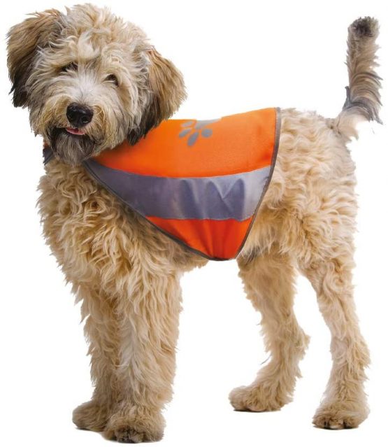 Croci High Visibility Jacket, X-Large