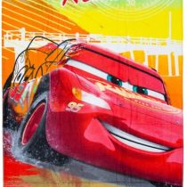 Cars WD20194 Towels