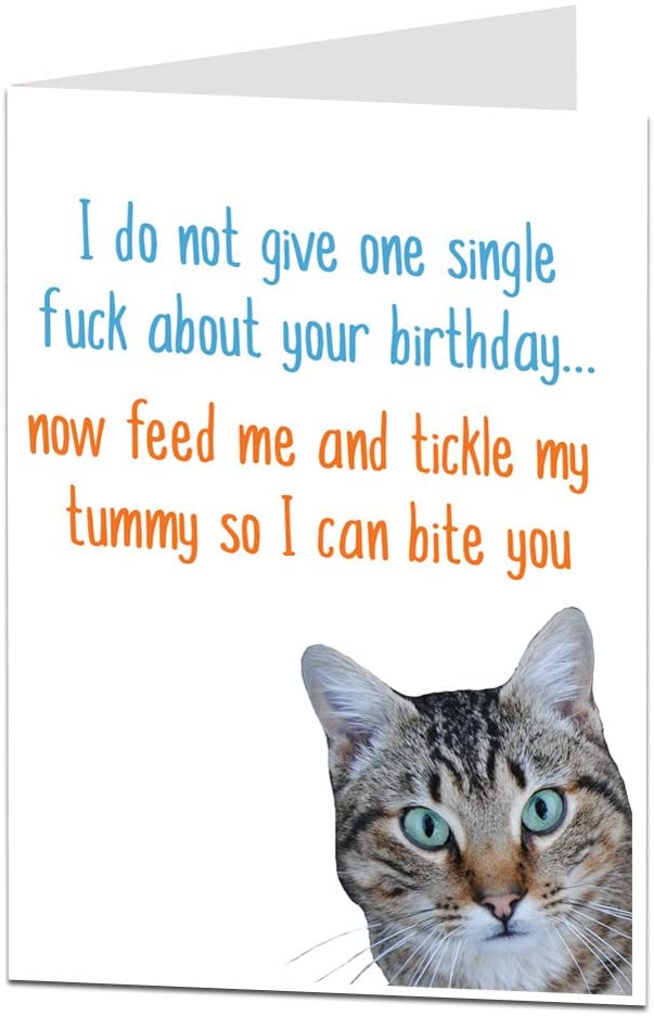 Happy Birthday Card from The Cat for The Pet Lover, 210 x 290 mm