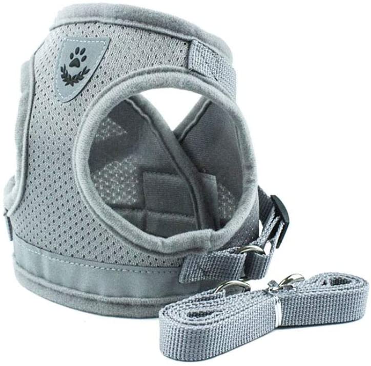 Deggodech Escape Proof Dogs Harness with Leash Set Medium Adjustable Soft Mesh Reflective Pet Dog Walking Harness Lead for Pet Cat Dog Outdoor Training (M
