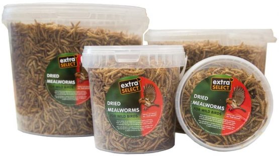 Extra Select Dried Mealworms Wild Bird Feed Treat, 3 Litre - Image 2