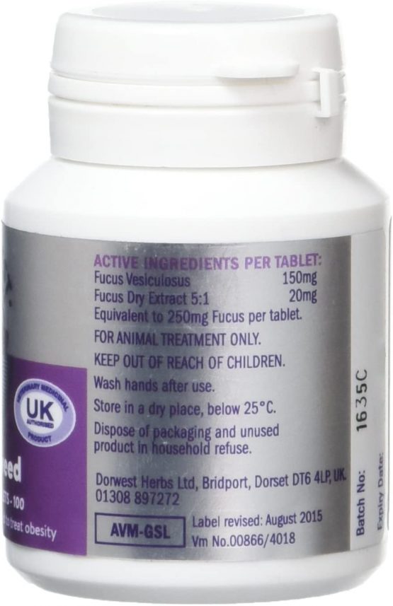 Dorwest Herbs Kelp Seaweed Tablets for Dogs and Cats 100 Tablets - Image 2